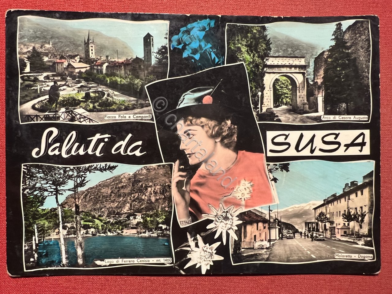 Cartolina - Saluti da Susa - Vedute diverse - 1961