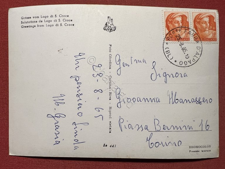 Cartolina - Saluti dal Lago di S. Croce - Vedute …