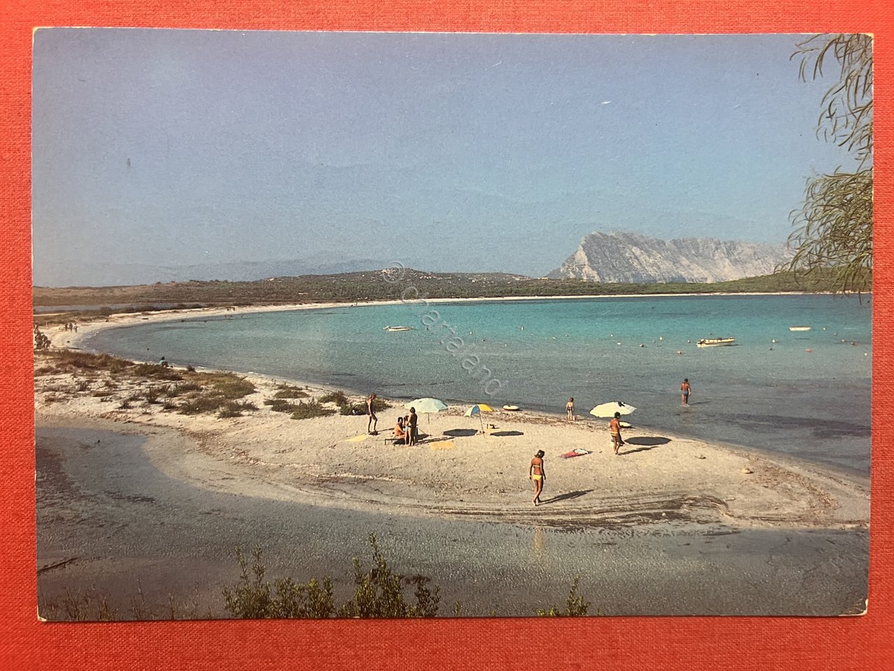 Cartolina - San Teodoro ( Sassari ) - Marina di …