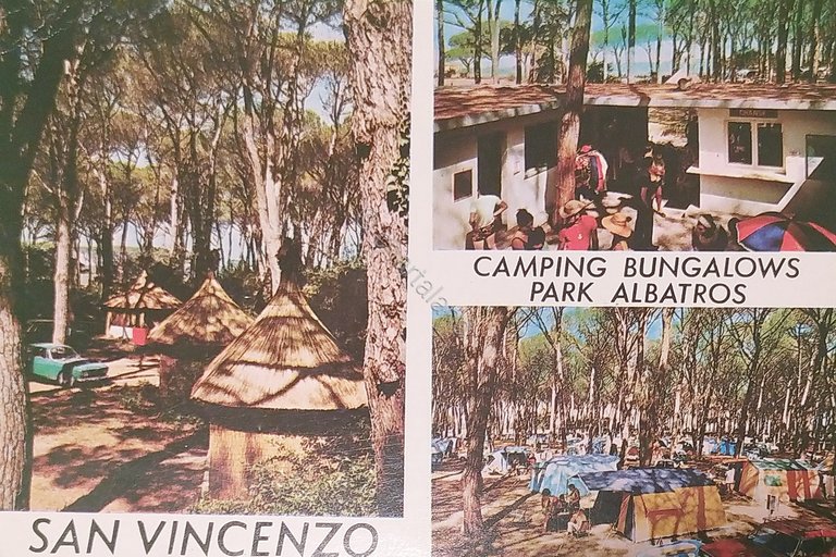 Cartolina - San Vincenzo - Camping Bungalow - Park Albatros …