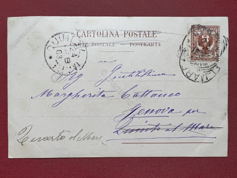 Cartolina - Sanremo - La Passeggiata - 1903 | Immagine Gallery 4