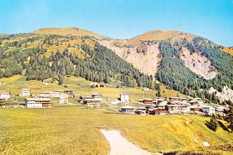 Cartolina - Sauris di Sopra ( Udine ) - Panorama …