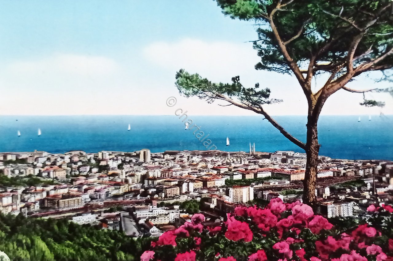 Cartolina - Savona - Panorama Generale - 1961