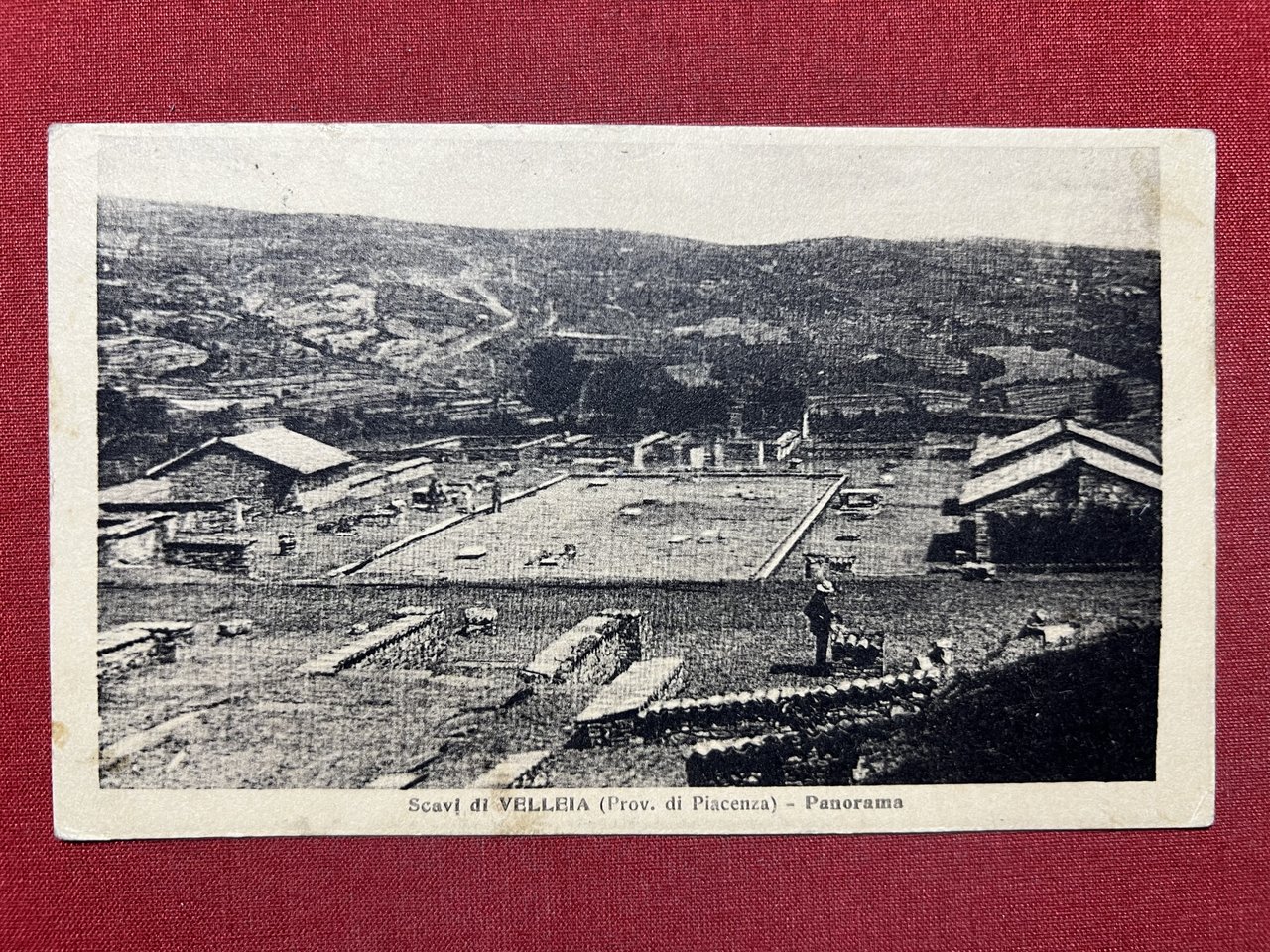 Cartolina - Scavi di Veleia ( Piacenza ) - Panorama …