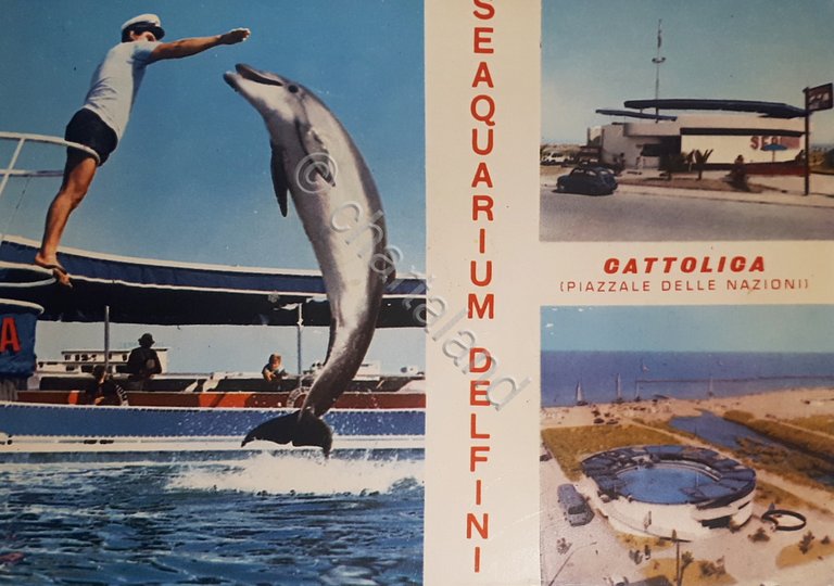 Cartolina - Seaquarium Delfini - Cattolica - Piazzale delle Nazione …