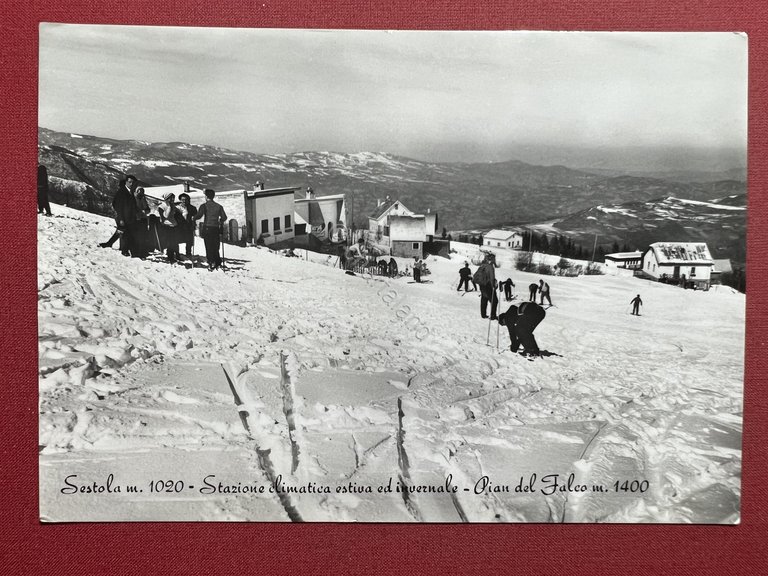 Cartolina - Sestola - Stazione Climatica ed Invernale - Pian … | Immagine Gallery 3