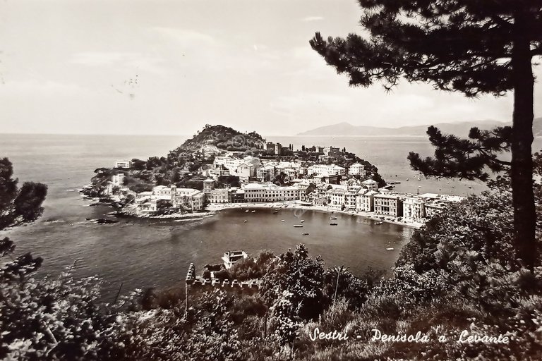 Cartolina - Sestri - Penisola a Levante - 1956