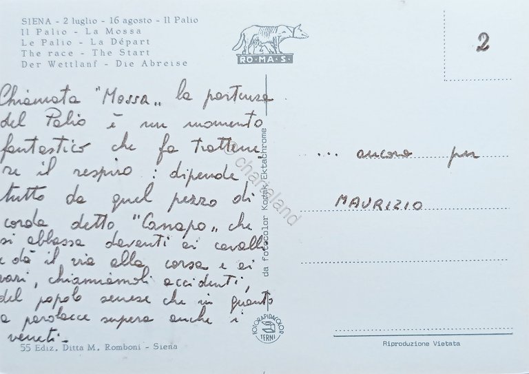 Cartolina - Siena - 2 Luglio - 16 Agosto - …