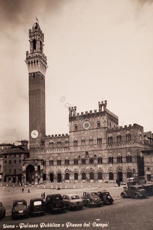 Cartolina - Siena - Palazzo Pubblico e Piazza del Campo …
