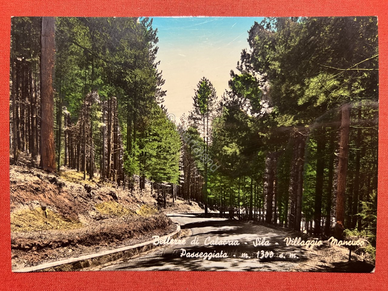 Cartolina - Sila ( Calabria ) - Villaggio Mancuso - …