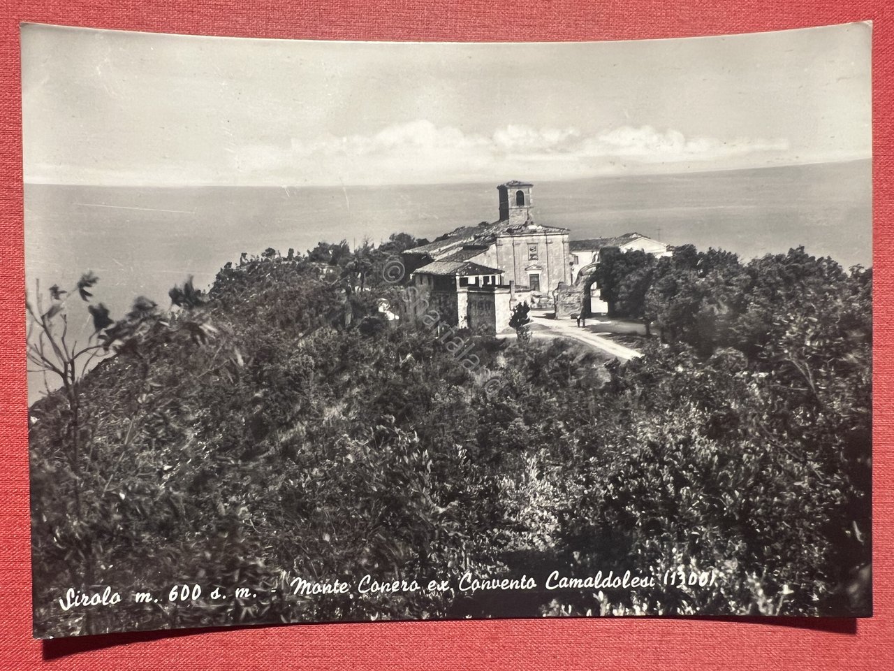 Cartolina - Sirolo ( Ancona ) - Monte Conero ex …