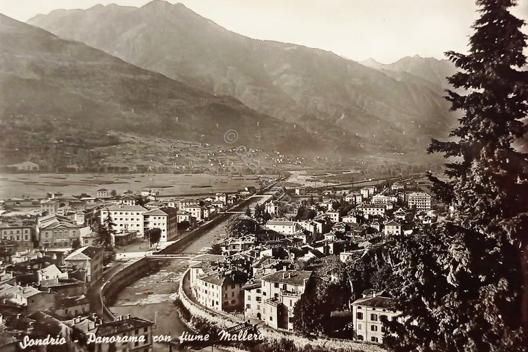 Cartolina - Sondrio - Panorama con fiume Mallero - 1960 …