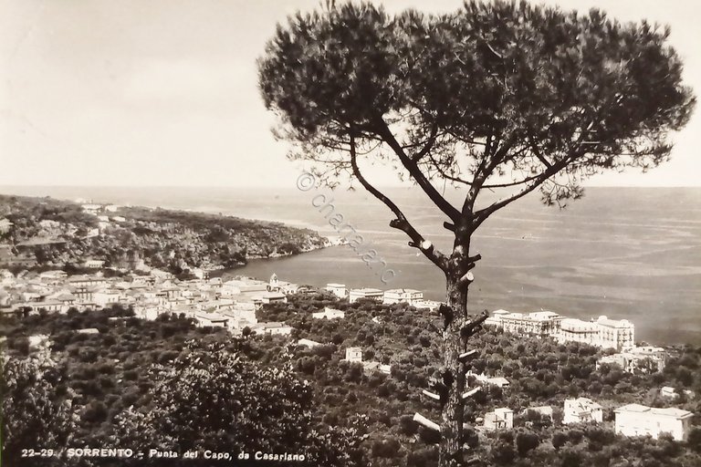 Cartolina - Sorrento - Punta del Capo - 1950 ca.