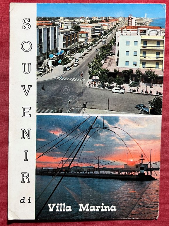 Cartolina - Souvenir di Villa Marina ( Rimini ) - …