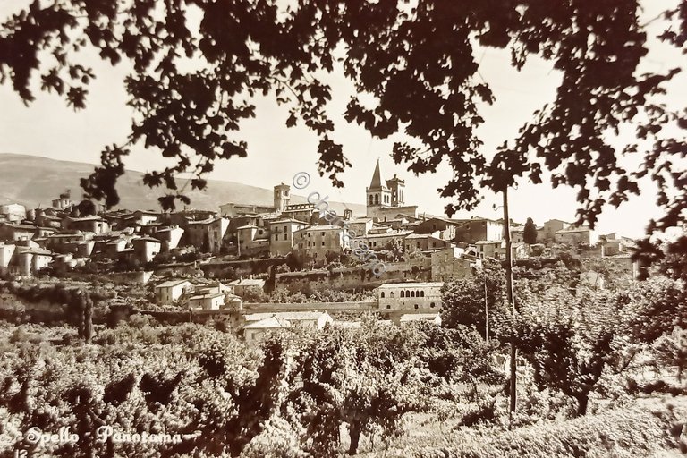 Cartolina - Spello ( Perugia ) - Panorama - 1954