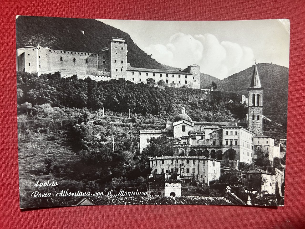Cartolina - Spoleto ( Perugia ) - Rocca Albornoziana con …