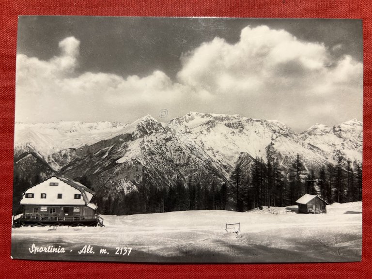 Cartolina - Sportinia ( Torino ) - Panorama - 1955 …