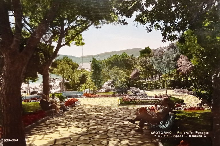 Cartolina - Spotorno - Riviera di Ponente - 1959