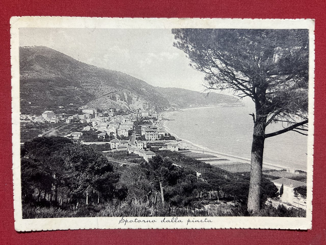 Cartolina - Spotorno dalla Pineta - 1941