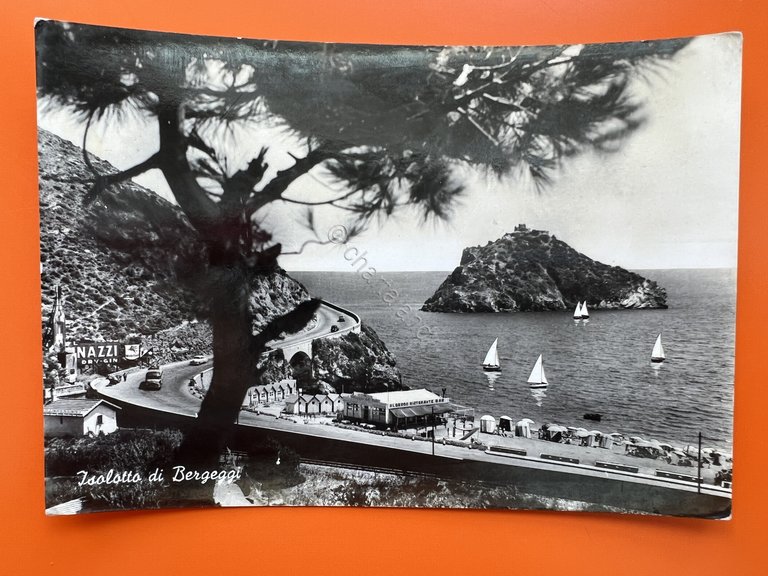 Cartolina - Spotorno ( Savona ) - L'isolotto di Bergeggi …