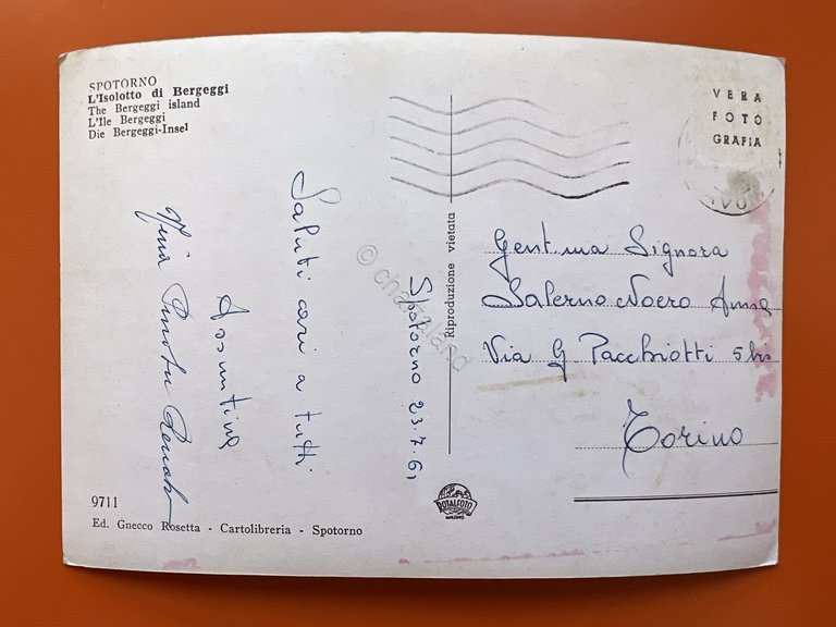 Cartolina - Spotorno ( Savona ) - L'isolotto di Bergeggi …