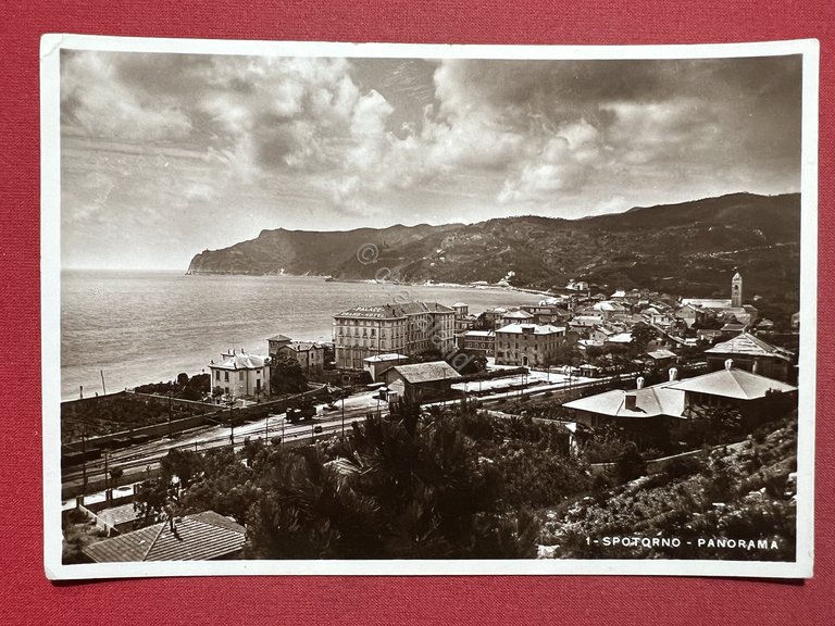 Cartolina - Spotorno (Savona) - Panorama - 1934