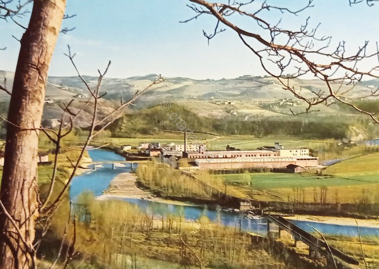 Cartolina - Stabilimento di Clavesana ( Cuneo ) - 1975 …