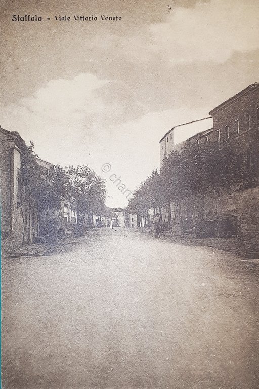 Cartolina - Staffolo - Viale Vittorio Veneto - 1900 ca.