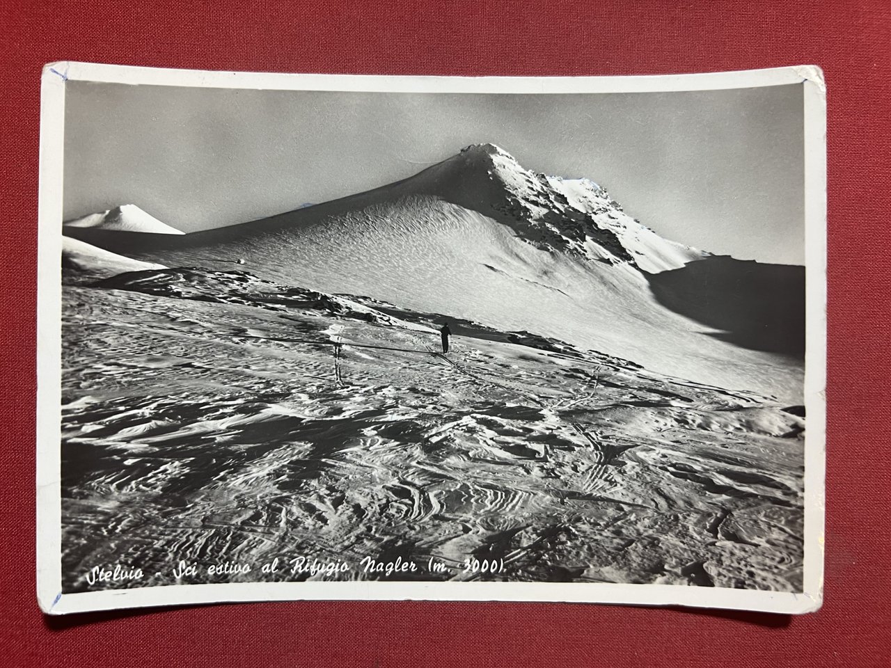 Cartolina - Stelvio - Sci estivo al Rifugio Nagler - …