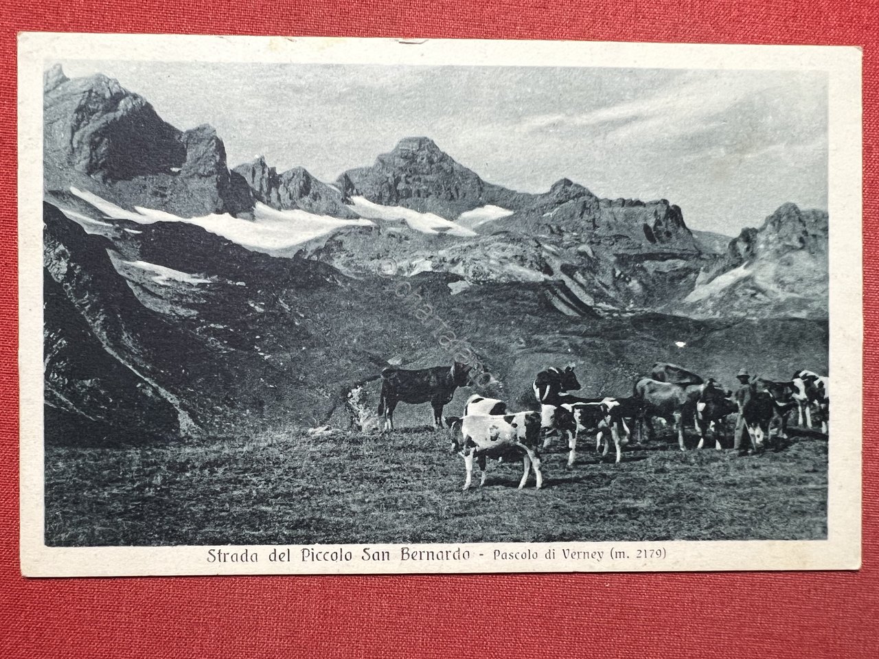 Cartolina - Strada del Piccolo San Bernardo - Pascolo di …