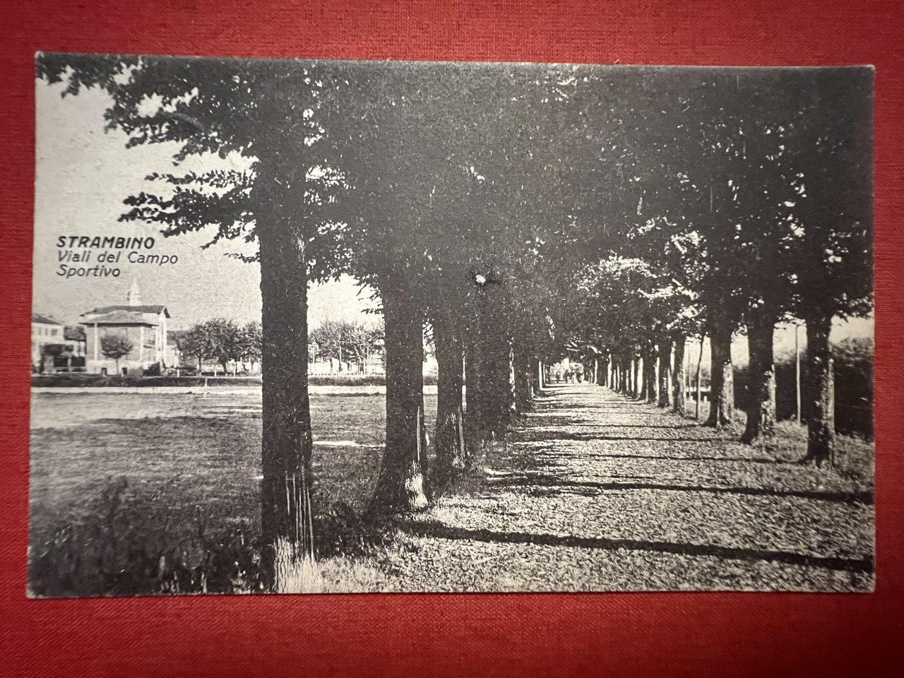 Cartolina - Strambino - Viali del Campo Sportivo - 1940 …