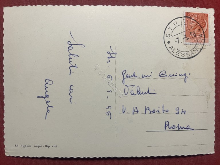 Cartolina - Strevi ( Alessandria ) - Panorama 1956