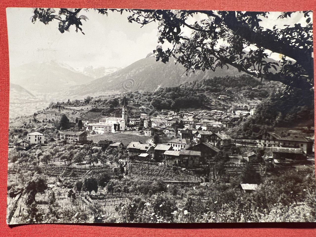 Cartolina - Strigno ( Trento ) - Valsugana - Panorama …