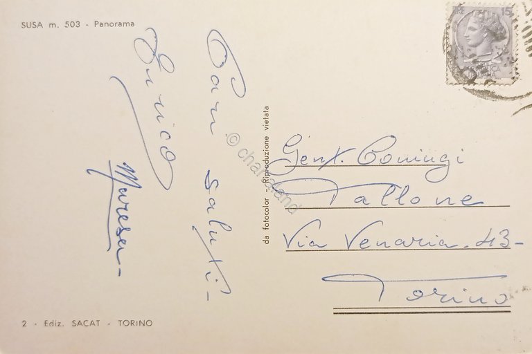 Cartolina - Susa - Panorama - 1960 ca.