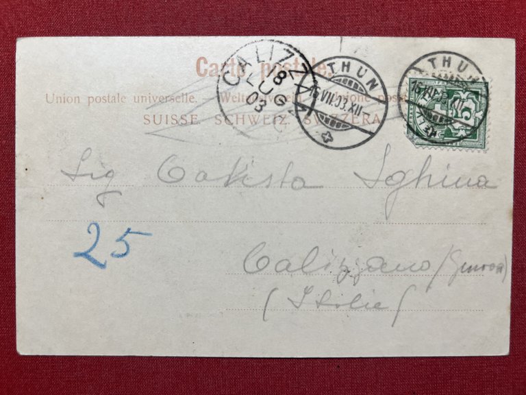 Cartolina - Svizzera - Gruss aus Thun - Schlossberg - …