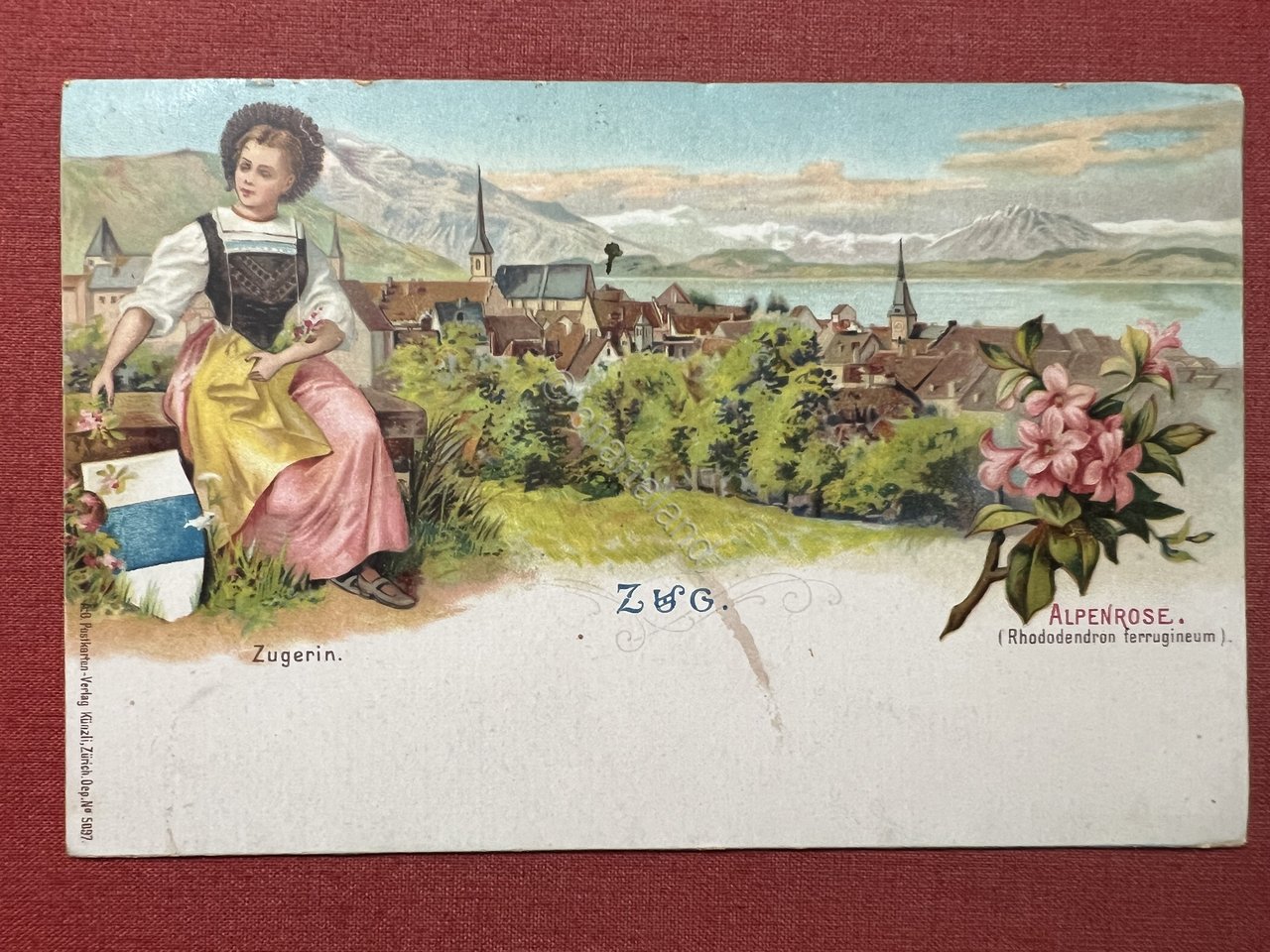 Cartolina - Svizzera - Zugo - Alpenrose - 1927 | Immagine principale
