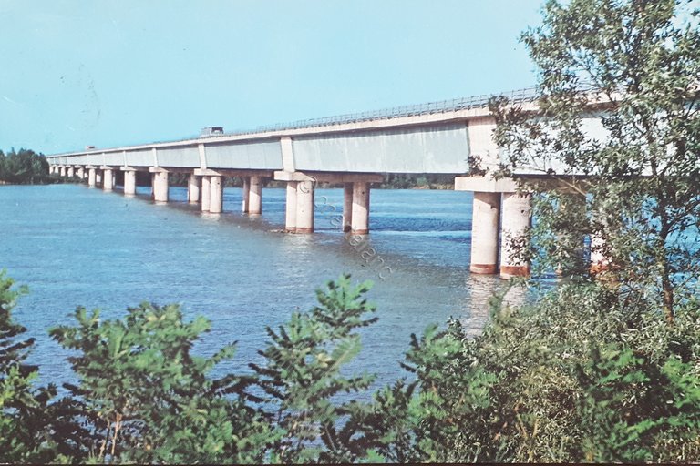 Cartolina - Taglio di Po - Ponte sul Fiume Po …