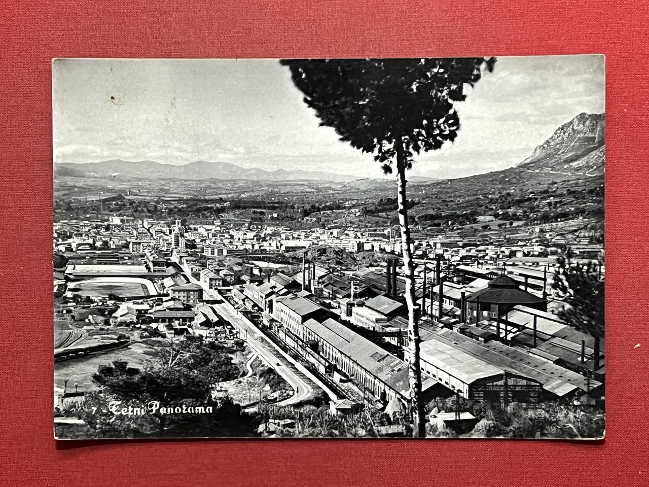 Cartolina - Terni - Panorama - 1957