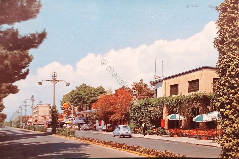 Cartolina - Tirrenia - Viale del Tirreno - 1964