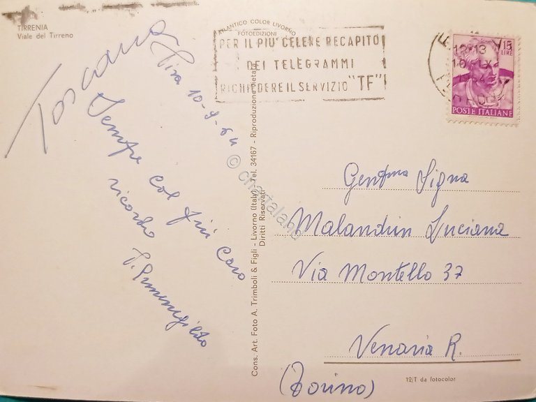 Cartolina - Tirrenia - Viale del Tirreno - 1964