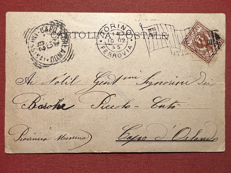 Cartolina - Torino - Castello del Valentino - 1902