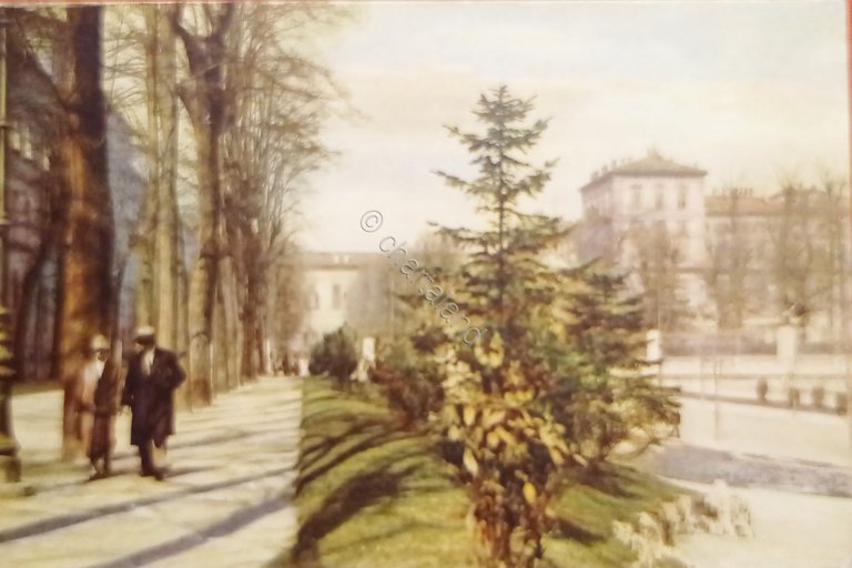Cartolina - Torino - Giardino Reale - 1931