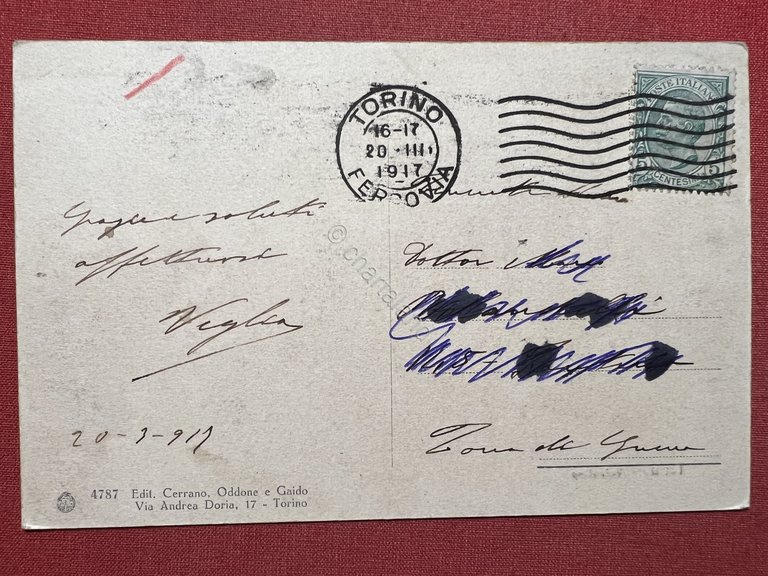 Cartolina - Torino - Valentino - 1917