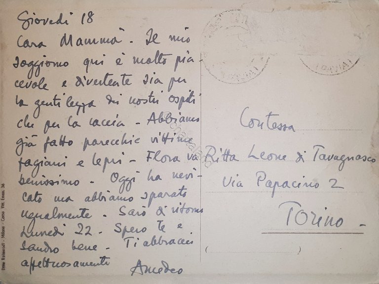 Cartolina - Torre d'Isola - Pavia - 1924