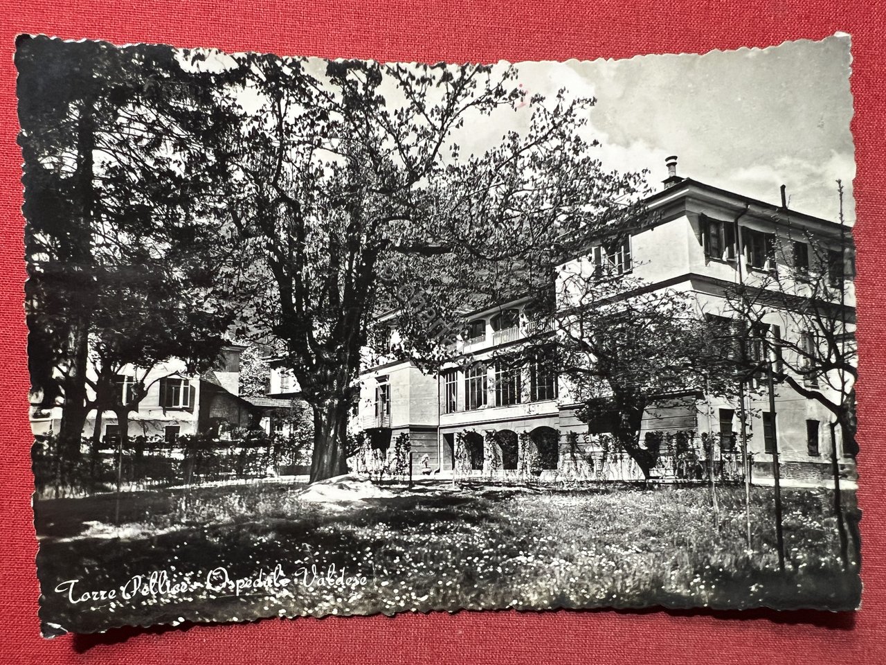 Cartolina - Torre Pellice ( Torino ) - Ospedale Valdese …