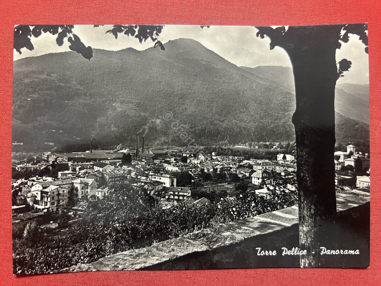 Cartolina - Torre Pellice ( Torino ) - Panorama - …