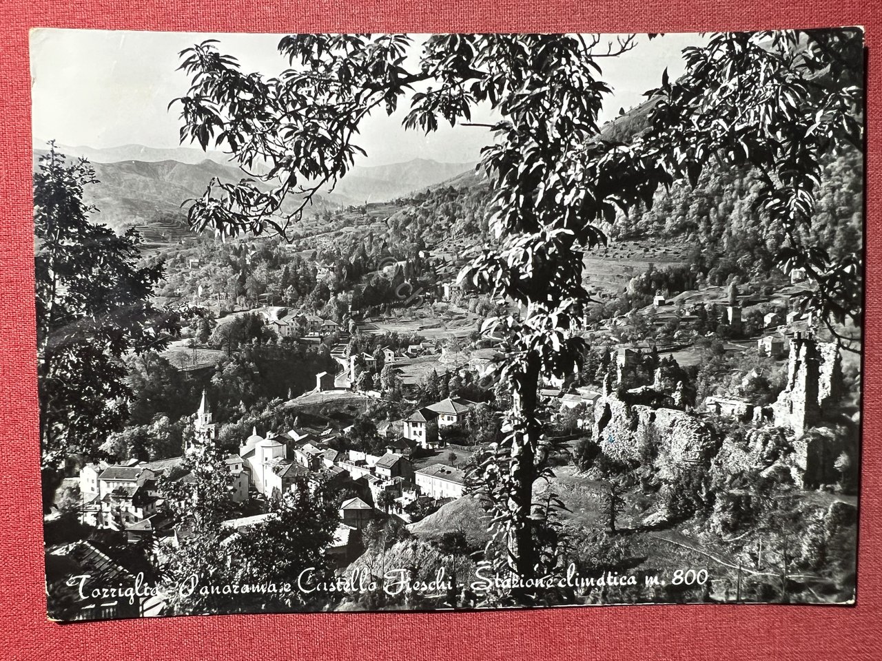 Cartolina - Torriglia - Panorama e Castello Freschi - Stazione …