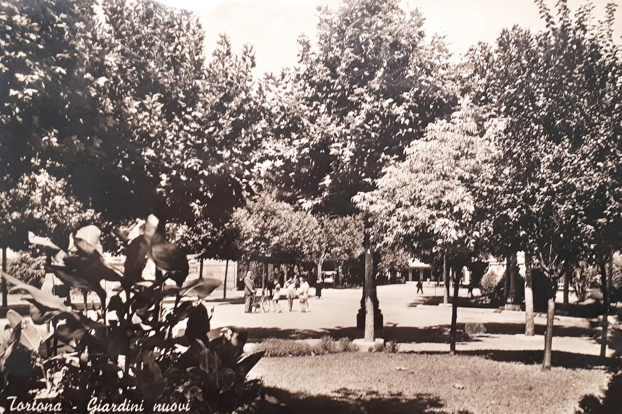 Cartolina - Tortona - Giardini nuovi - 1960 ca.