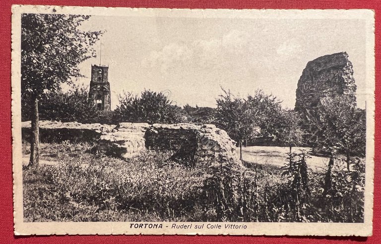 Cartolina - Tortona ( Alessandria ) - Ruderi sul Colle …
