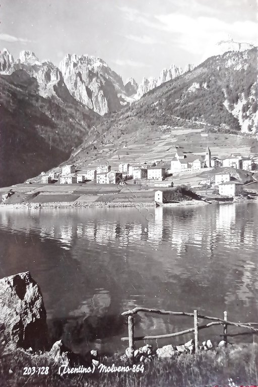 Cartolina - Trentino - Molveno - 1954